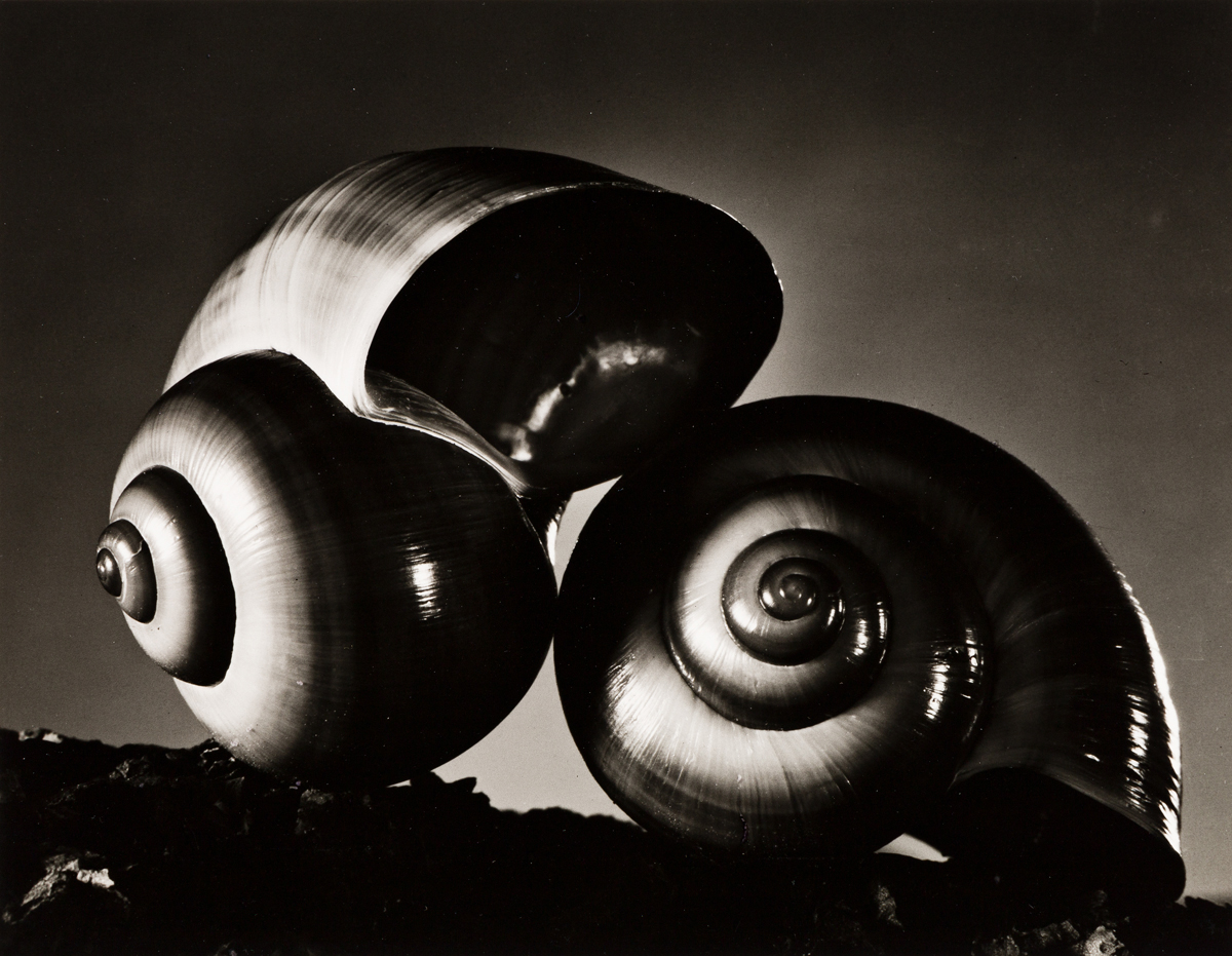 RUTH BERNHARD (1905-2006) The Gift of the Commonplace, a portfolio of 10 photographs dedicated to the memory of Edward Weston.